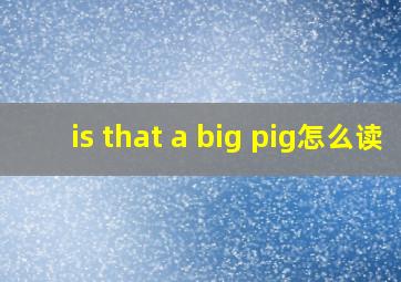 is that a big pig怎么读